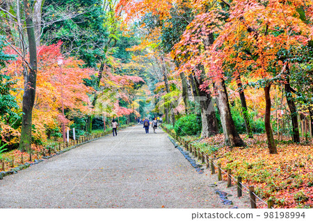 京都, 下鴨神社 忠之森 98198994