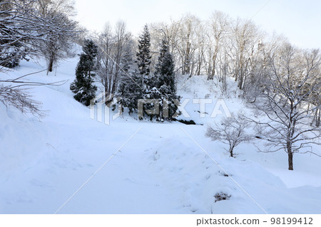福島縣只見町在高雲映襯下閃耀的雪中森林 福島縣只見町在高雲映襯下閃耀的雪中森林 98199412
