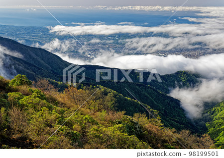The sea of clouds seen from the fresh green Tanzawa Omote Ridge and the townscape in the direction of Hadano The sea of clouds seen from the fresh green Tanzawa Omote Ridge and the townscape in the direction of Hadano 98199501