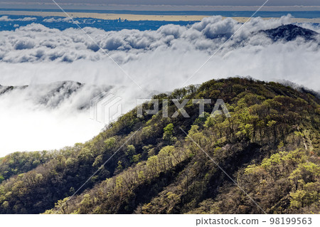從丹澤的殿嶽山眺望雲霧繚繞的山脊和橫濱的景色 98199563