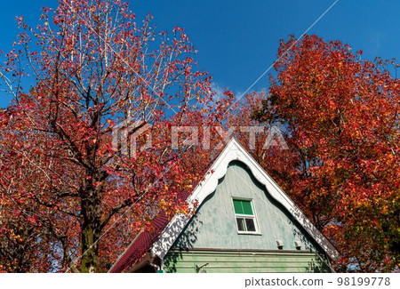 木曾三仙水上樂園的秋天 98199778