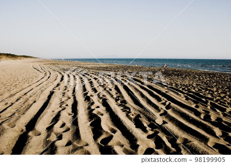 Cleaned beach 98199905