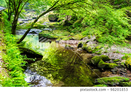 Clear stream of Yabakei Gorge, Oita Prefecture 98201853