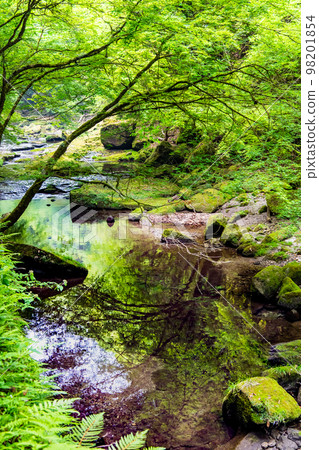 Clear stream of Yabakei Gorge, Oita Prefecture 98201854