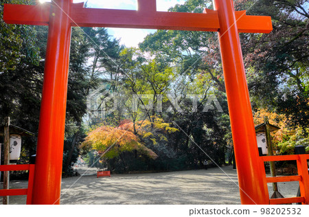 Kyoto, Shimogamo shrine second torii 98202532