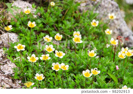 Kiso Komagatake Kiso Komagatake 98202913