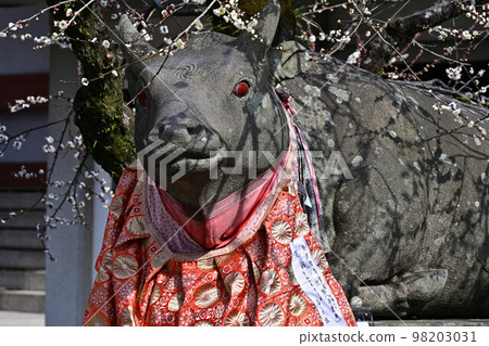 Kitano Tenman-gu Shrine 98203031