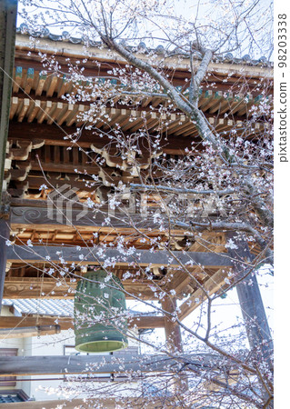 The bell tower and perpetual cherry blossoms of the Mikawa Ikko Ikki Temple (Joguji Temple, Okazaki City, Aichi Prefecture) The bell tower and perpetual cherry blossoms of the Mikawa Ikko Ikki Temple (Joguji Temple, Okazaki City, Aichi Prefecture) 98203338
