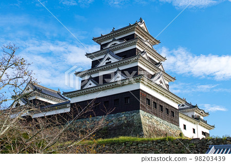 Ehime Prefecture / Ozu Castle in Autumn 98203439