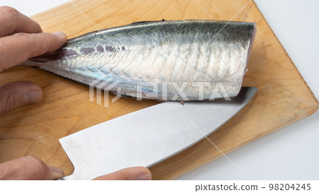 判斷竹莢魚｜低頭拿zeigo 98204245