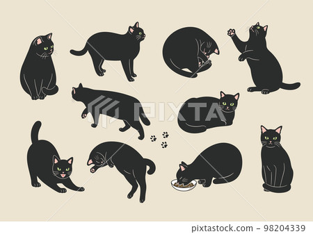 一隻黑貓的各種姿勢的插圖 98204339