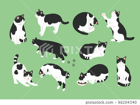 黑白貓各種姿勢圖解 98204340