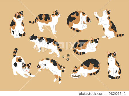 Illustration of various poses of calico cat 98204341