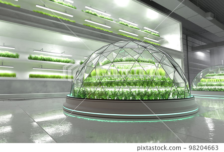 Organic vegetable farm. Hydroponic vegetable plant factory. 98204663