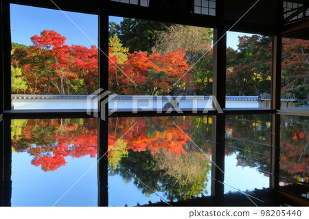 Kawauchi-cho, Kiryu City, Gunma Prefecture, at Houtoku-ji Temple, a famous place for autumn leaves Kawauchi-cho, Kiryu City, Gunma Prefecture, at Houtoku-ji Temple, a famous place for autumn leaves 98205440