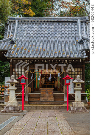 [神奈川縣]高田天滿宮正殿/12月*自然風光 98205448