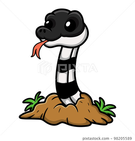 Cute banded krait snake cartoon out from hole Cute banded krait snake cartoon out from hole 98205589