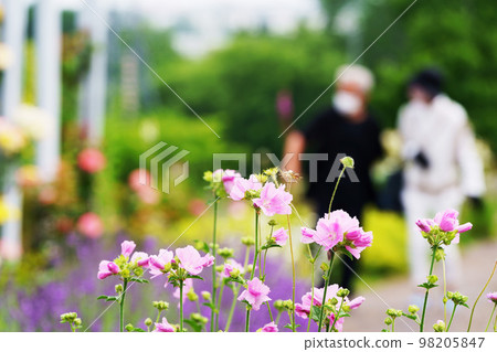 A couple looking at a flower garden 98205847