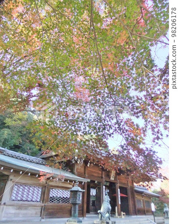 Oishi Shrine in autumn Oishi Shrine in autumn 98206178