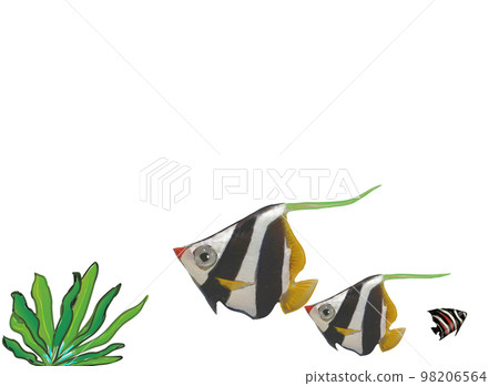 海底魚群 海底魚群 98206564