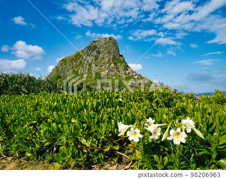 Onna Village, Okinawa Prefecture, Cape Maeda in the season when lilies bloom 98206963