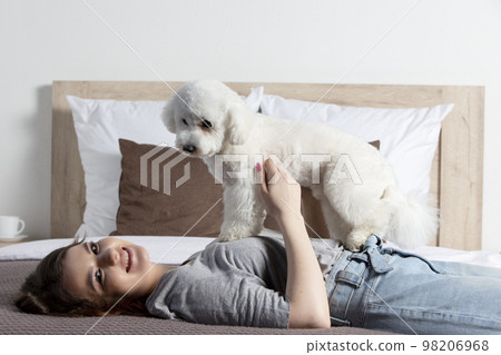 Beautiful girl at home with a dog. The hostess with a bichon plays in bed. 98206968