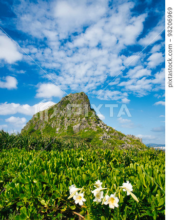 沖繩縣恩納村，百合花盛開的季節前田岬 98206969