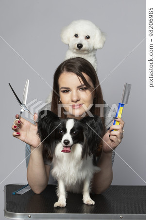 Young professional groomer with pets. She is posing with an instrument. Papillon and bichon dog with hairdresser girl. Young professional groomer with pets. She is posing with an instrument. Papillon and bichon dog with hairdresser girl. 98206985