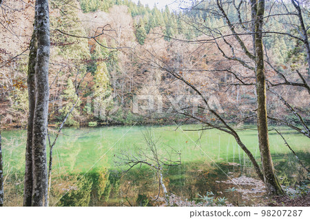 新潟之秋龍學坊 98207287