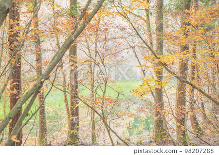 新潟之秋龍學坊 98207288