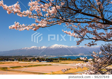 [Niigata Prefecture/Sado] Early Spring Sado Route/Ryotsu Bay April 98207649