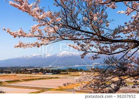 [Niigata Prefecture/Sado] Early Spring Sado Route/Ryotsu Bay April 98207652