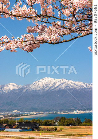 [Niigata Prefecture/Sado] Early Spring Sado Route/Ryotsu Bay April 98207661