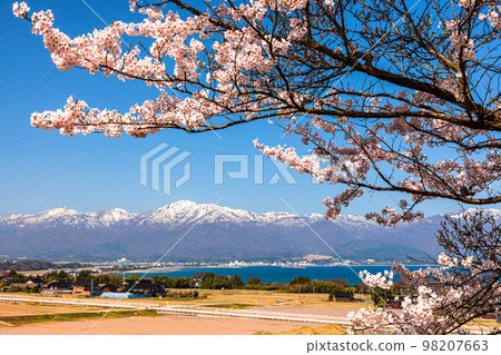 [Niigata Prefecture/Sado] Early Spring Sado Route/Ryotsu Bay April 98207663