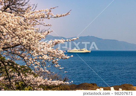 [新潟縣/佐渡]早春佐渡路線/兩津灣四月 98207671