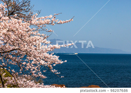 [Niigata Prefecture/Sado] Early Spring Sado Route/Ryotsu Bay April 98207686