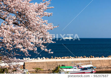 [Niigata Prefecture/Sado] Early Spring Sado Route/Ryotsu Bay April 98207687