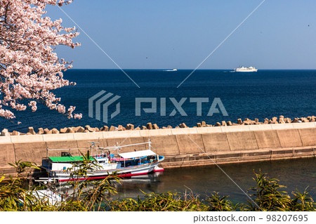 [Niigata Prefecture/Sado] Early Spring Sado Route/Ryotsu Bay April 98207695