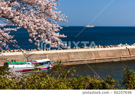 [新潟縣/佐渡]早春佐渡路線/兩津灣四月 98207696