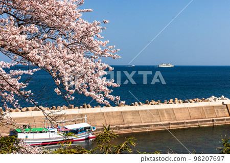 [Niigata Prefecture/Sado] Early Spring Sado Route/Ryotsu Bay April 98207697