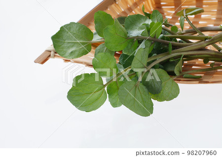 Watercress 98207960