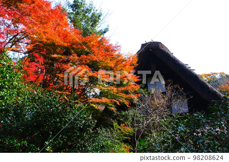 Aichi Prefecture Higashiyama Zoo and Botanical Gardens in autumn Aichi Prefecture Higashiyama Zoo and Botanical Gardens in autumn 98208624