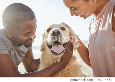 Couple, dog and love, together at beach for fun trip, happy and pets animal with care. Bonding, spending quality time and black man with woman by the ocean on adventure with golden retriever puppy. Couple, dog and love, together at beach for fun trip, happy and pets animal with care. Bonding, spending quality time and black man with woman by the ocean on adventure with golden retriever puppy. 98208630