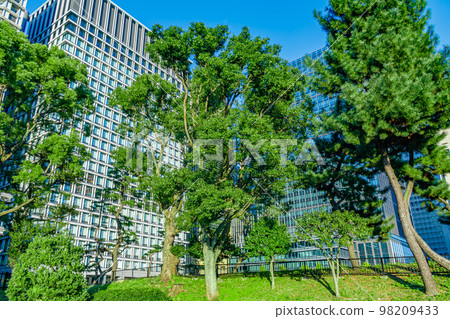 [東京的城市景觀] 從和田倉噴泉公園看到的摩天大樓 98209433