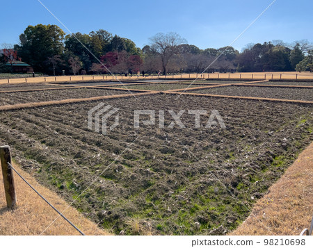 [Three Great Gardens of Japan] Okayama Korakuen in December (Ida) 98210698