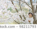 A smiling senior woman looking at the cherry blossoms in full bloom with her arms outstretched Bust-up 98211793