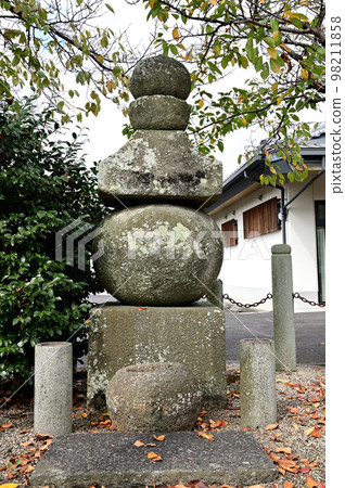 Taimanokehayazuka Taimanokehayazuka 98211858