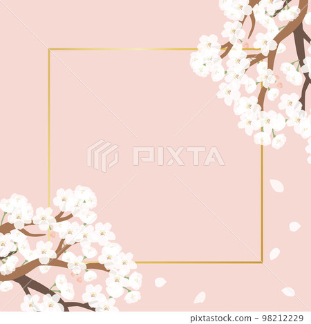 櫻花分支框架 98212229