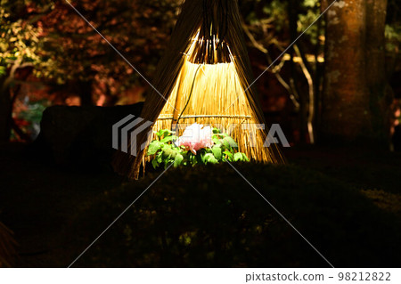 Illumination of Yushien Illumination of Yushien 98212822