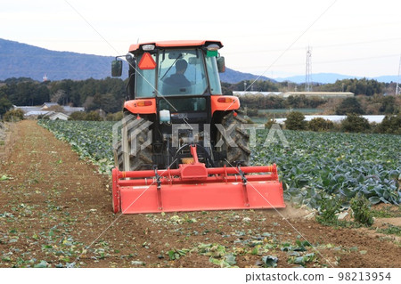 Plowing a cabbage field Plowing a cabbage field 98213954